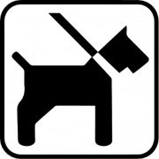 Piktogram hund i snor
