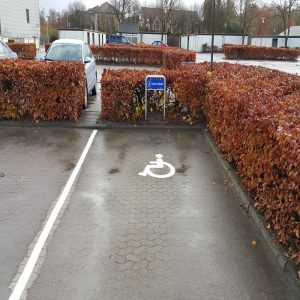 Vejstriber og symboler handicap p-plads